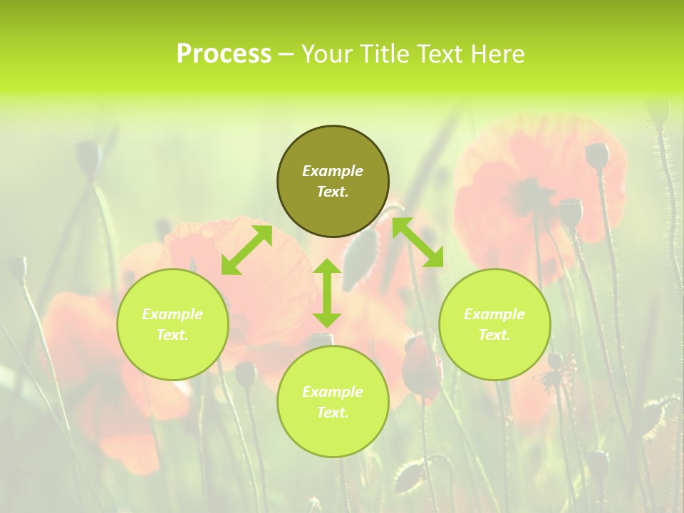 Sunny French Dordogne PowerPoint Template