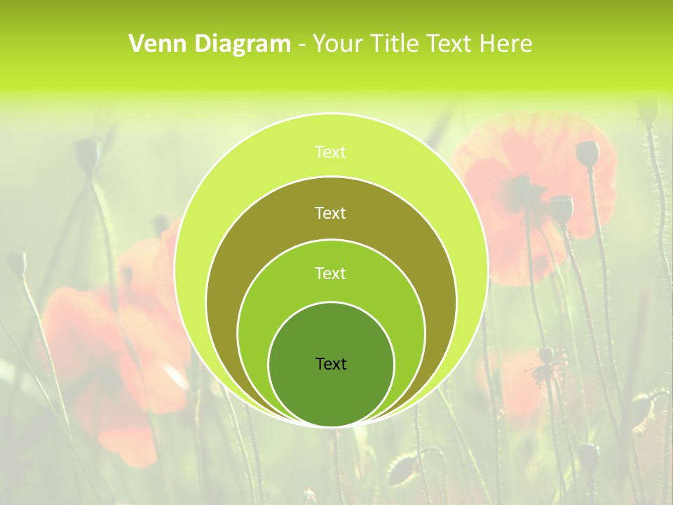 Sunny French Dordogne PowerPoint Template