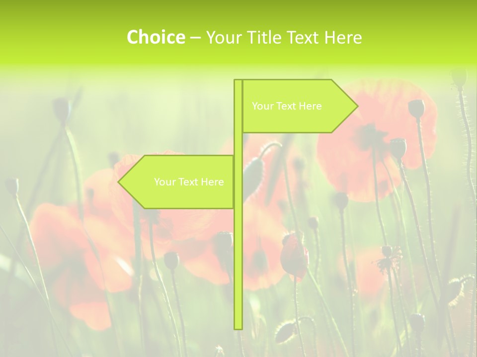 Sunny French Dordogne PowerPoint Template