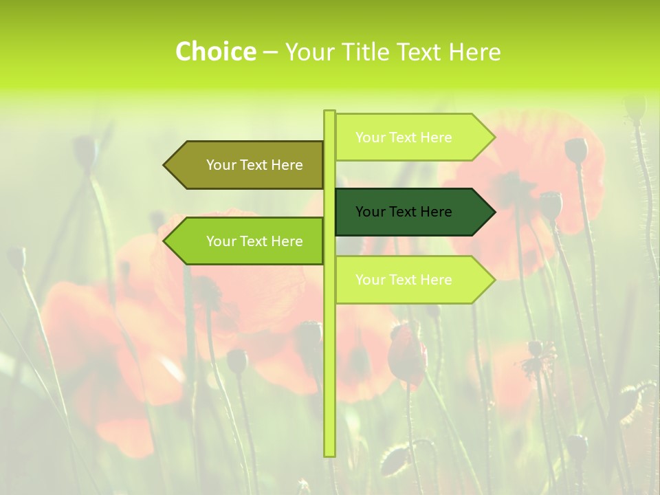 Sunny French Dordogne PowerPoint Template