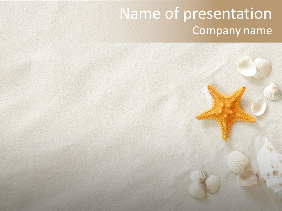 Coast Starfish Shiny PowerPoint Template