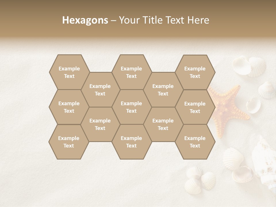 Coast Starfish Shiny PowerPoint Template