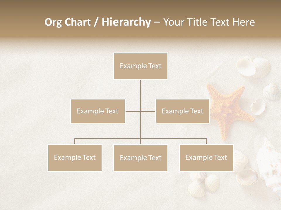 Coast Starfish Shiny PowerPoint Template