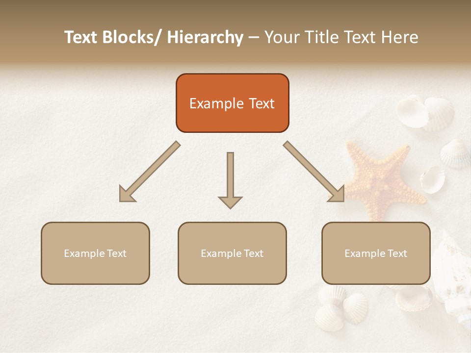 Coast Starfish Shiny PowerPoint Template