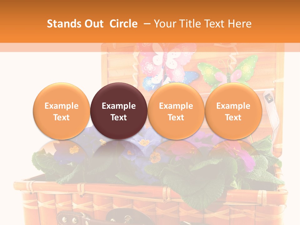 Hobby Butterflies Different PowerPoint Template