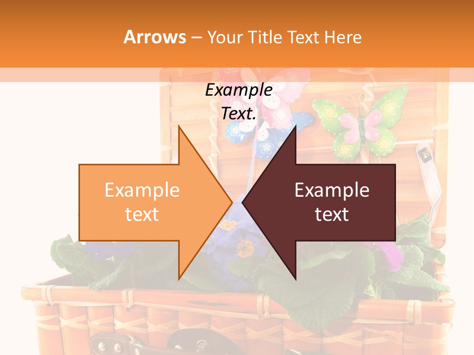 Hobby Butterflies Different PowerPoint Template