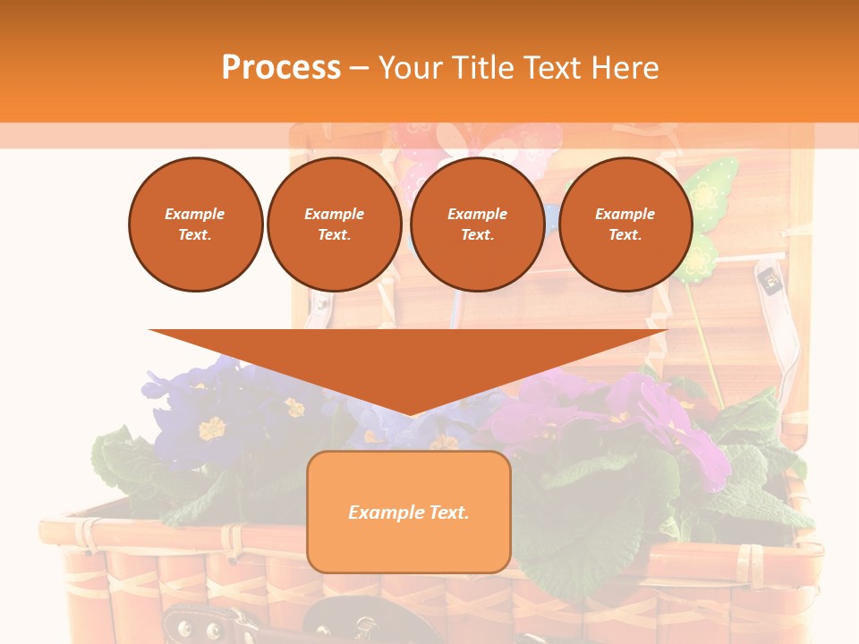 Hobby Butterflies Different PowerPoint Template