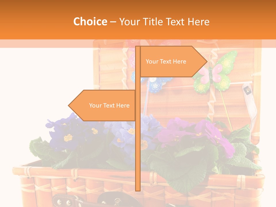 Hobby Butterflies Different PowerPoint Template