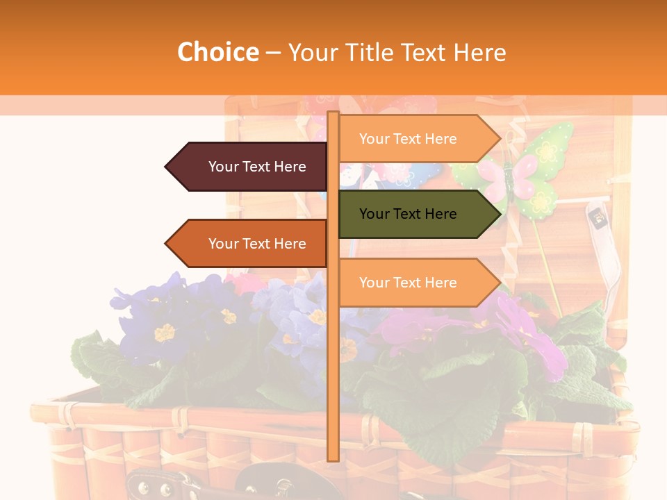 Hobby Butterflies Different PowerPoint Template