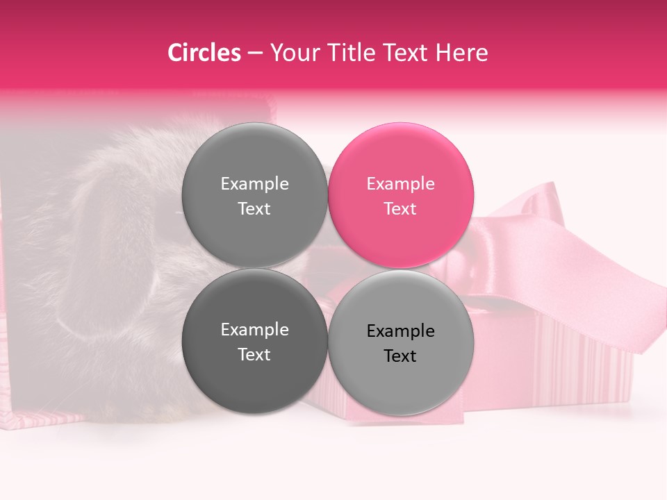 Indoor Saint Violet PowerPoint Template