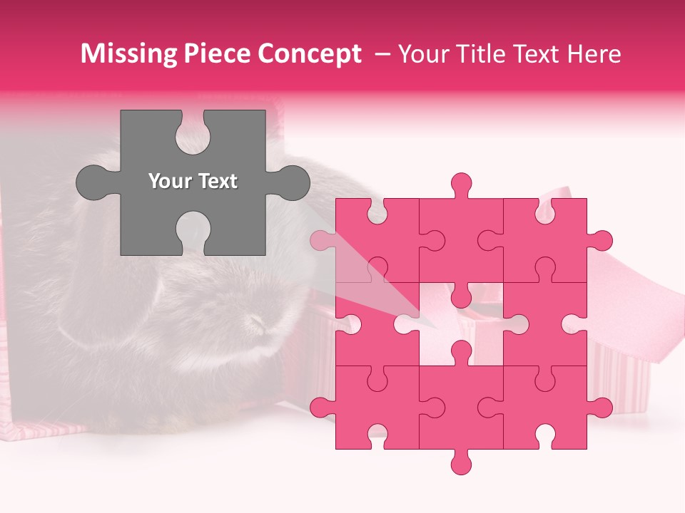 Indoor Saint Violet PowerPoint Template