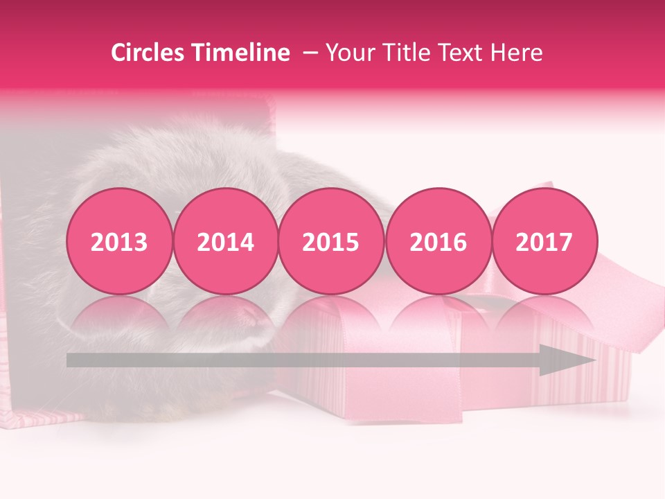 Indoor Saint Violet PowerPoint Template