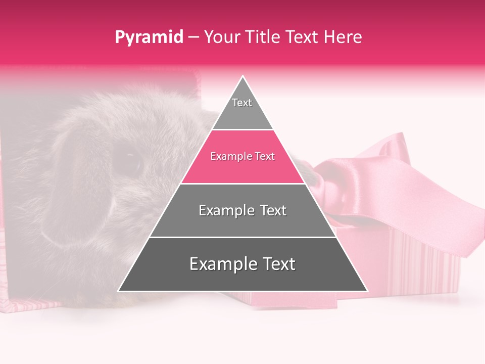 Indoor Saint Violet PowerPoint Template