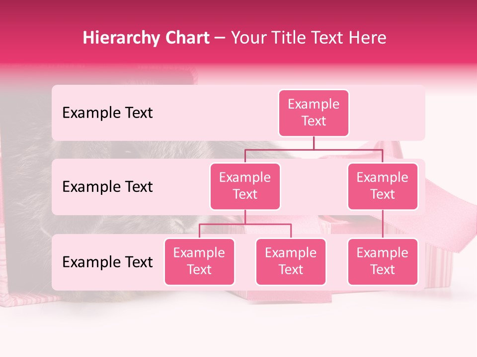 Indoor Saint Violet PowerPoint Template