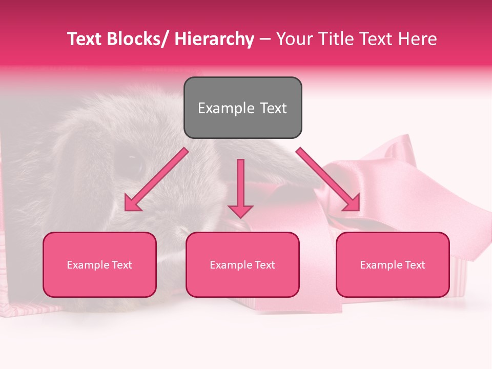 Indoor Saint Violet PowerPoint Template