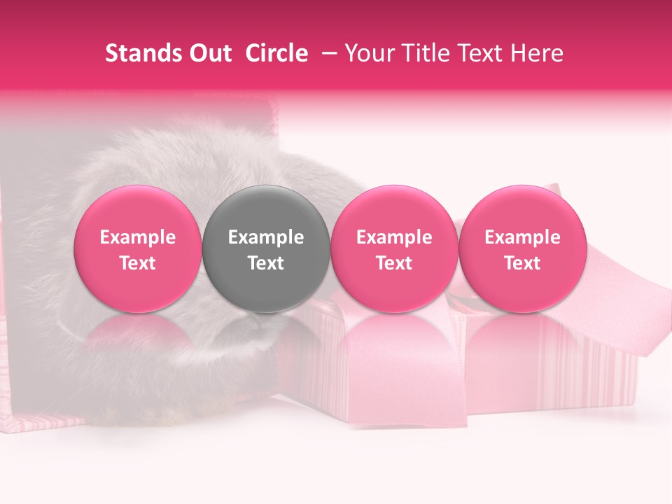 Indoor Saint Violet PowerPoint Template