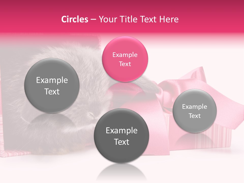 Indoor Saint Violet PowerPoint Template