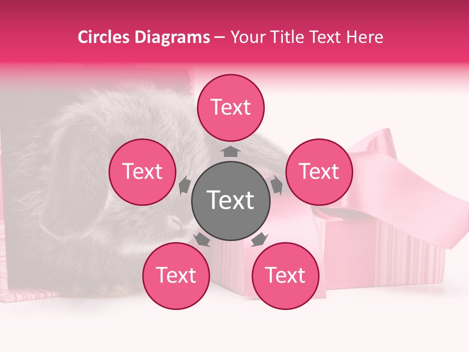 Indoor Saint Violet PowerPoint Template