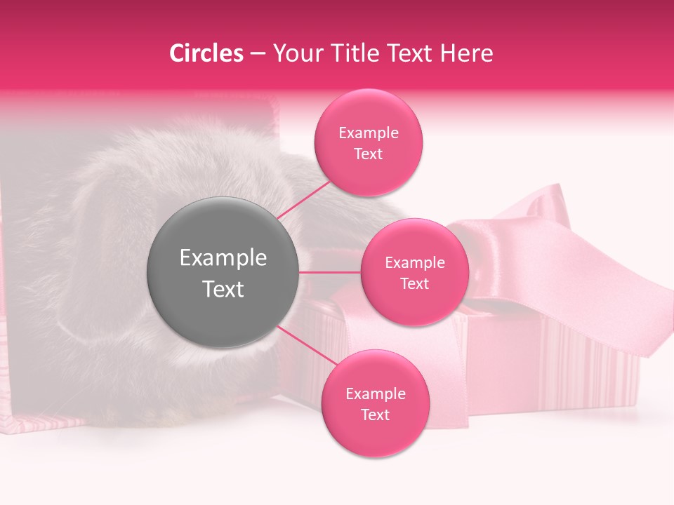 Indoor Saint Violet PowerPoint Template