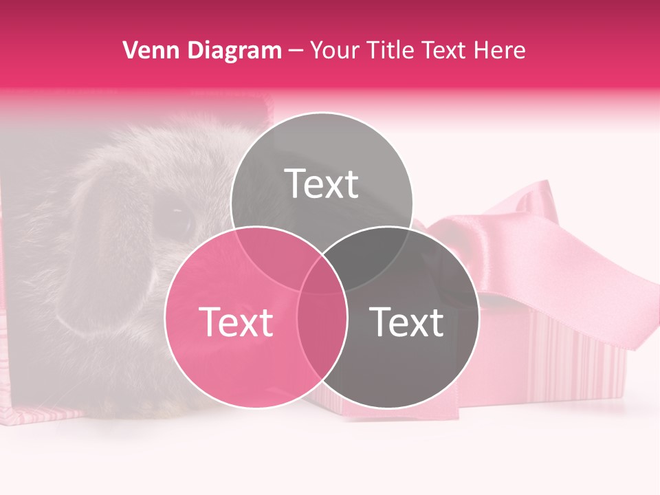 Indoor Saint Violet PowerPoint Template