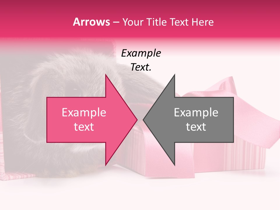 Indoor Saint Violet PowerPoint Template