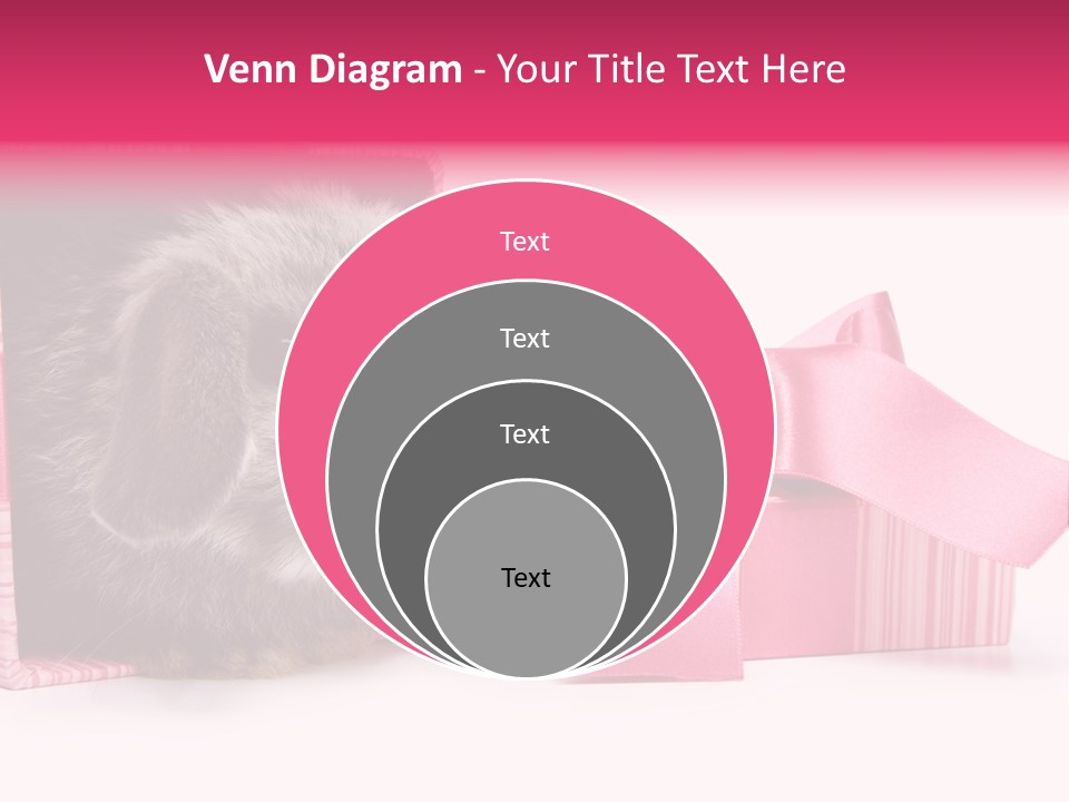 Indoor Saint Violet PowerPoint Template