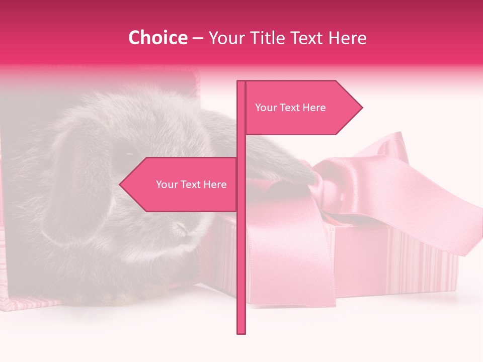 Indoor Saint Violet PowerPoint Template