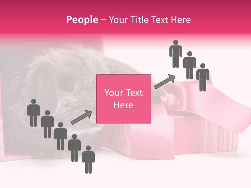 Indoor Saint Violet PowerPoint Template