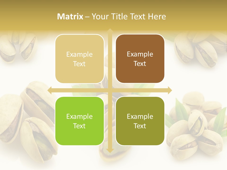 Seed Salted Dried PowerPoint Template