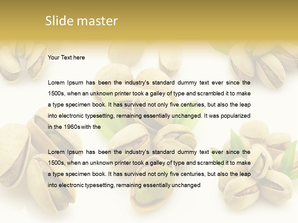 Seed Salted Dried PowerPoint Template