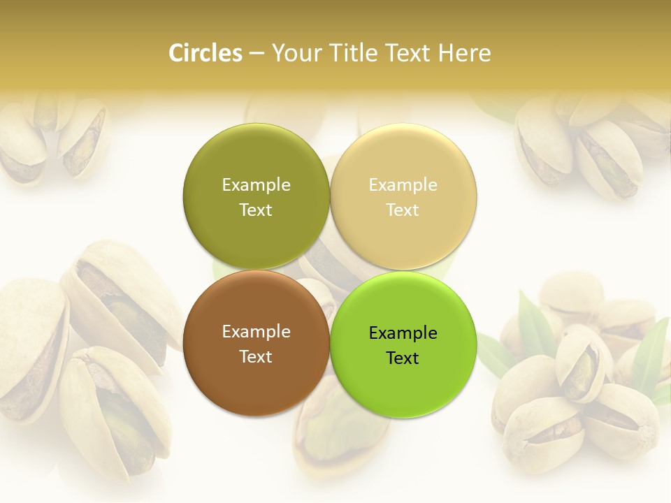 Seed Salted Dried PowerPoint Template