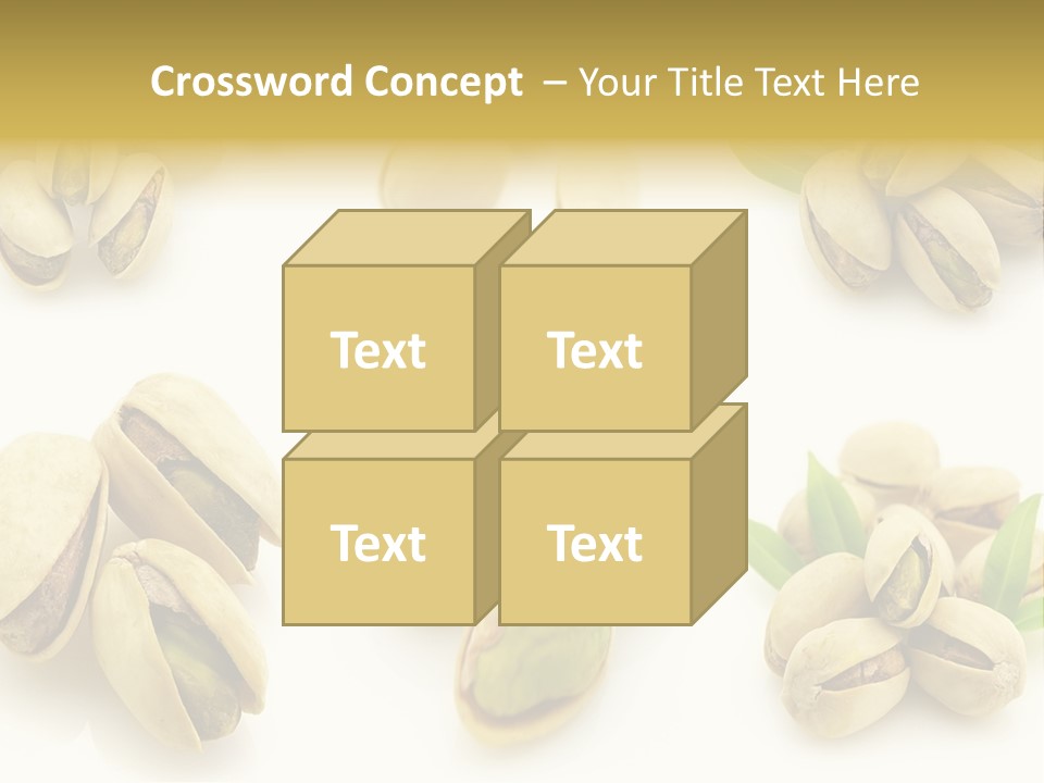 Seed Salted Dried PowerPoint Template