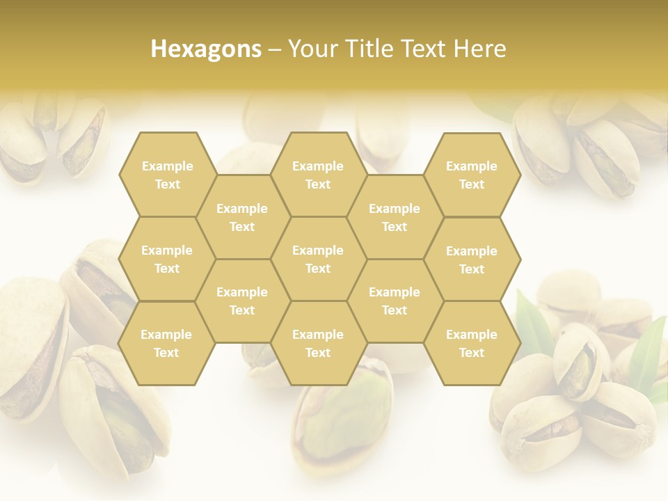 Seed Salted Dried PowerPoint Template