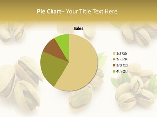 Seed Salted Dried PowerPoint Template