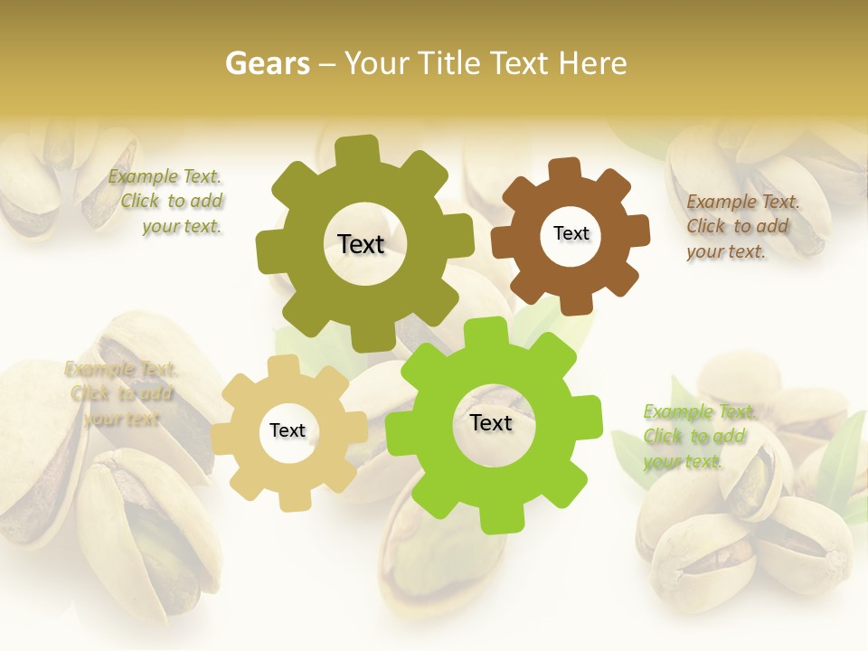 Seed Salted Dried PowerPoint Template