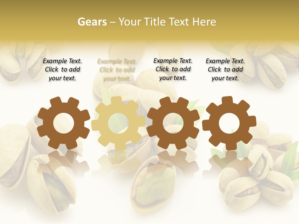 Seed Salted Dried PowerPoint Template