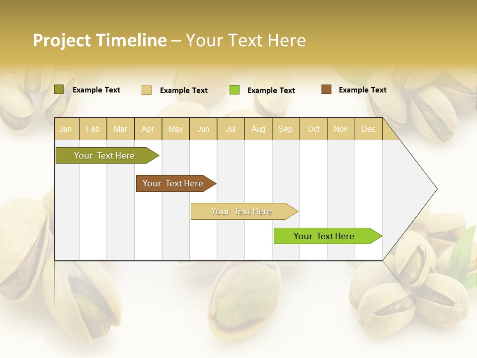 Seed Salted Dried PowerPoint Template