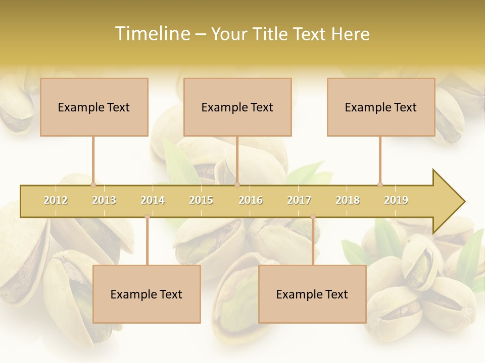 Seed Salted Dried PowerPoint Template