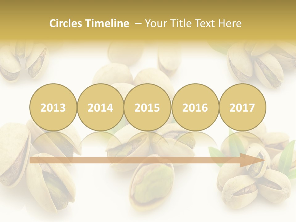 Seed Salted Dried PowerPoint Template