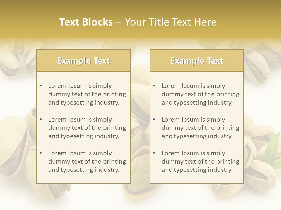 Seed Salted Dried PowerPoint Template