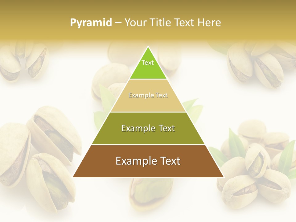 Seed Salted Dried PowerPoint Template