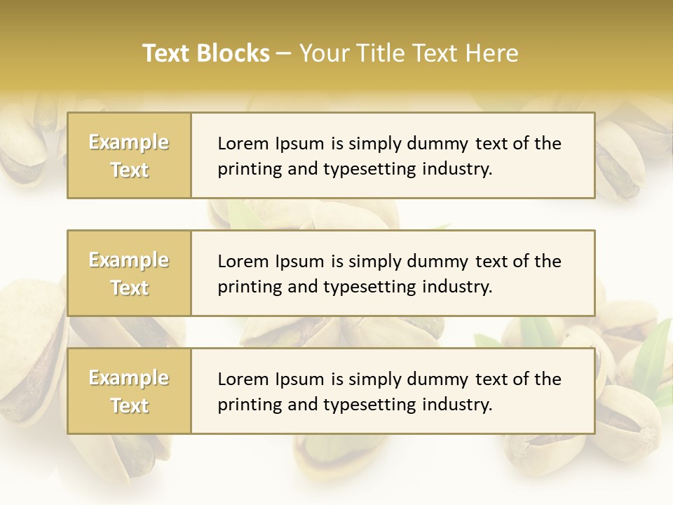 Seed Salted Dried PowerPoint Template