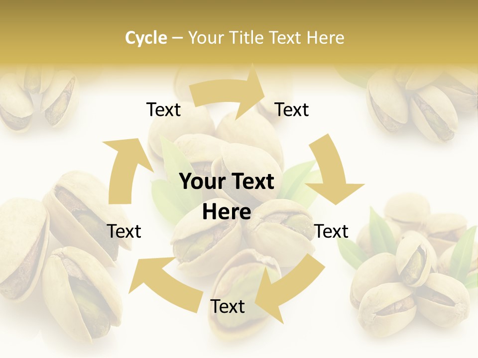 Seed Salted Dried PowerPoint Template