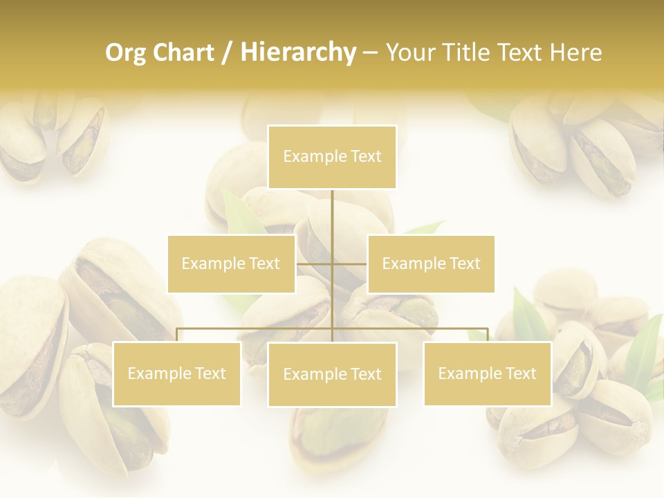 Seed Salted Dried PowerPoint Template