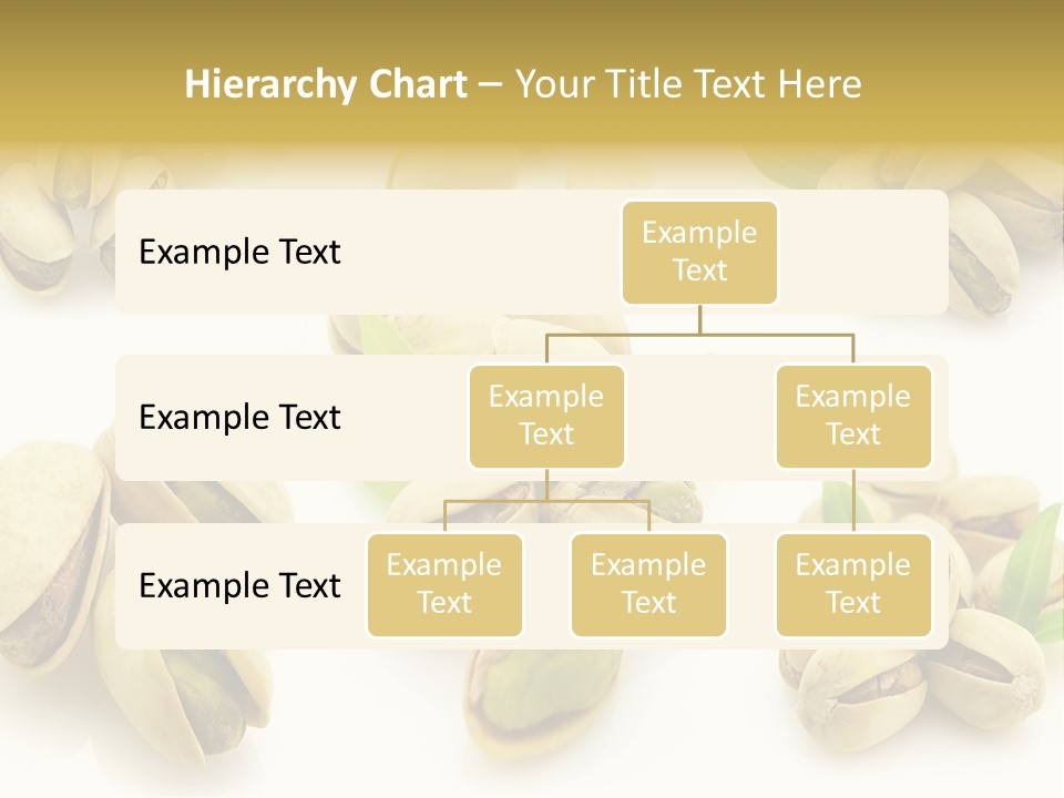 Seed Salted Dried PowerPoint Template