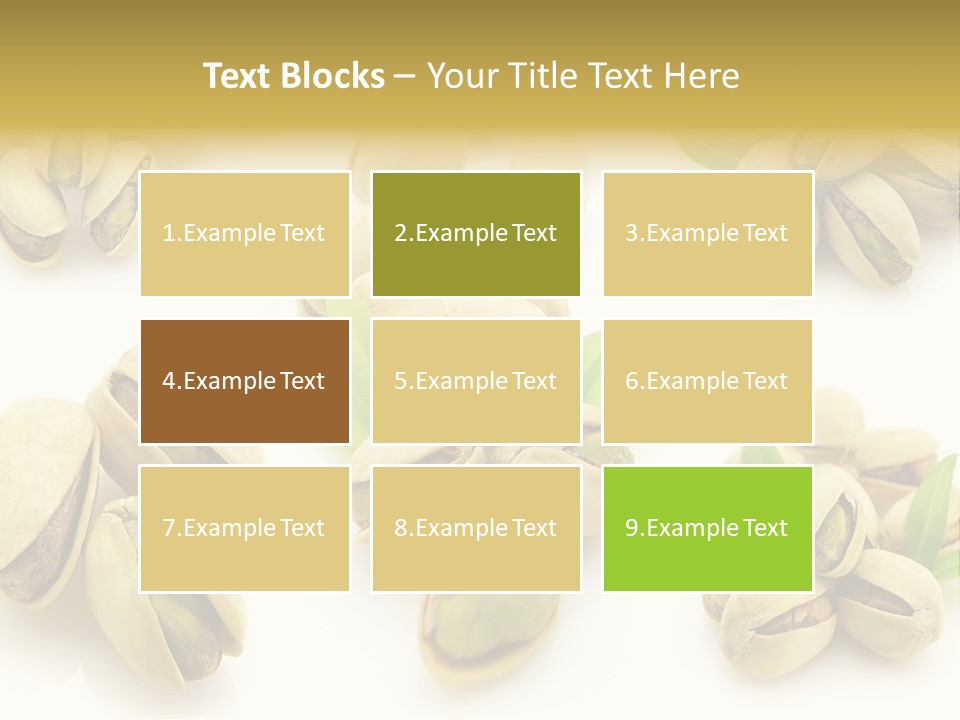 Seed Salted Dried PowerPoint Template