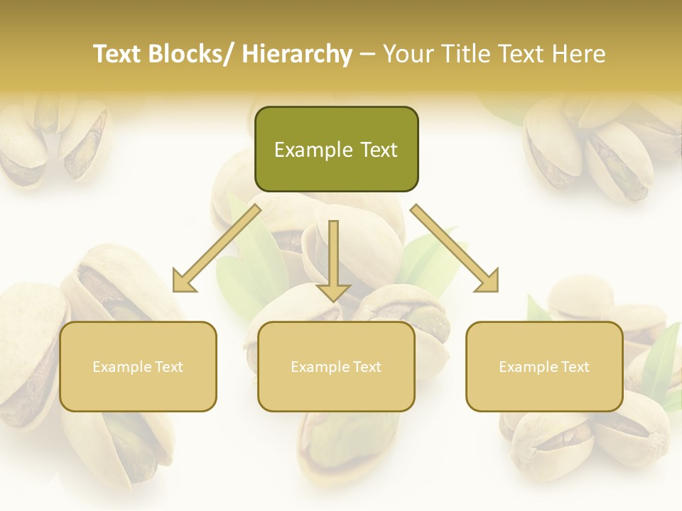 Seed Salted Dried PowerPoint Template