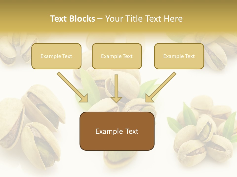 Seed Salted Dried PowerPoint Template