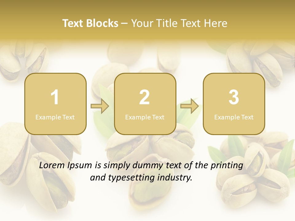 Seed Salted Dried PowerPoint Template