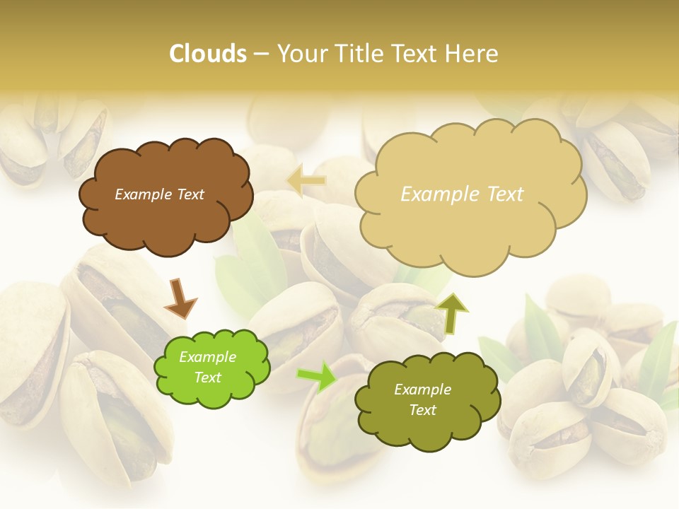 Seed Salted Dried PowerPoint Template